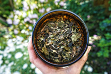 Load image into Gallery viewer, Beach Kiss