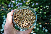 Load image into Gallery viewer, Happy Tummy