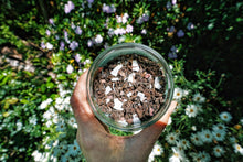 Load image into Gallery viewer, Indulgence