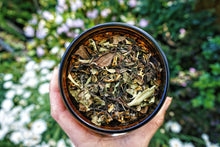 Load image into Gallery viewer, Refreshing Rain